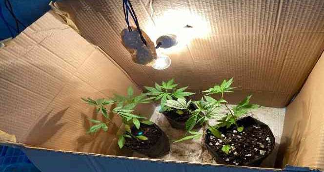 Karton kutuda uyuşturucu üretimine baskın