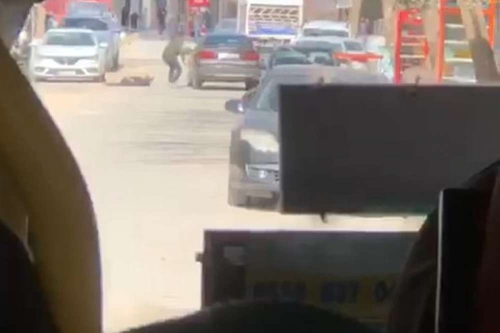 Mardin'de silahlı kavga